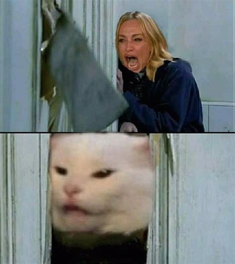 Woman Yelling At A Cat Memes Show No Signs Of Slowing Down Memebase