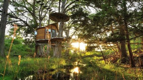 9 Texas Treehouses You Can Rent For The Weekend Dallas Metroplex Real Estate Dfw Home Search