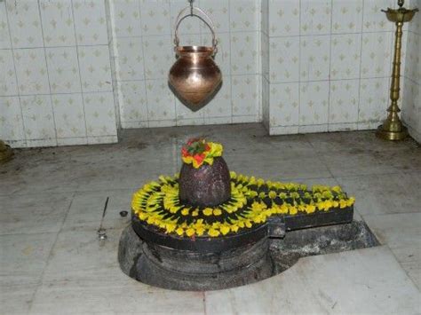 Shivling Decorated With Yellow Flowers Shiva Lingam Lord Shiva Hd