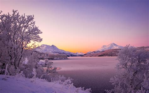 Norway Scandinavian Mountains Lake Winter Thick Snow Trees