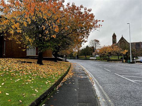 Fallen Leaves Along Dublin Road Omagh © Kenneth Allen Geograph Ireland