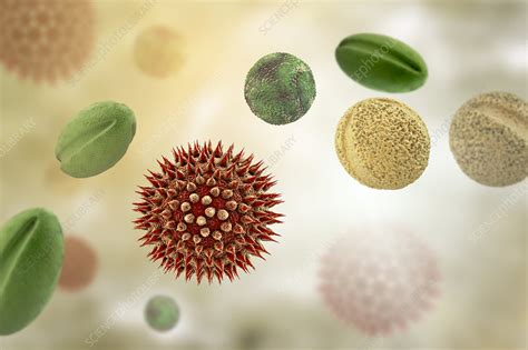 Pollen Grains From Different Plants Illustration Stock Image F026