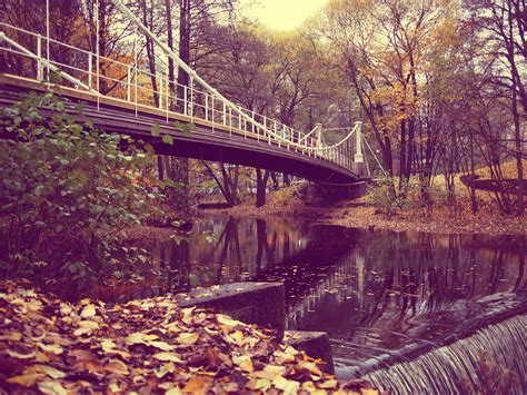 Autumn With Bridge Over A Creek In Norway Image Free Stock Photo