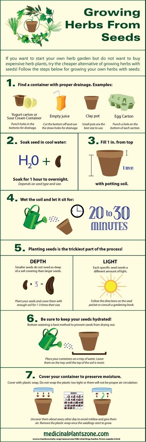 Growing Herbs From Seeds Infographic Urban Homesteading