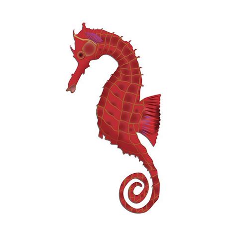 Seahorse By Kevin Songer Nature Art Wall Art Seahorse