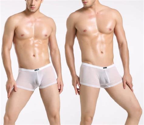 Buy Sexy Men Underwear Sheer Mesh Boxer Briefs Bulge Pouch See Through 3 Large 29 33 White