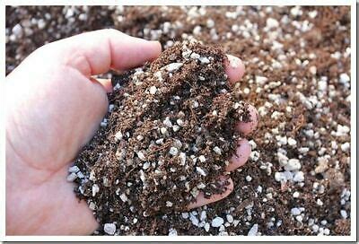 I used pure akadama this past year, and it seems like it kept everything too wet. CACTUS SOIL POTTING MIX ORGANIC Succulent Palm Citrus ...