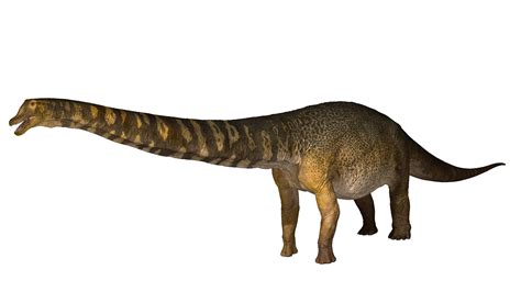 New Dinosaur Species Is Australias Largest Researchers Say The New