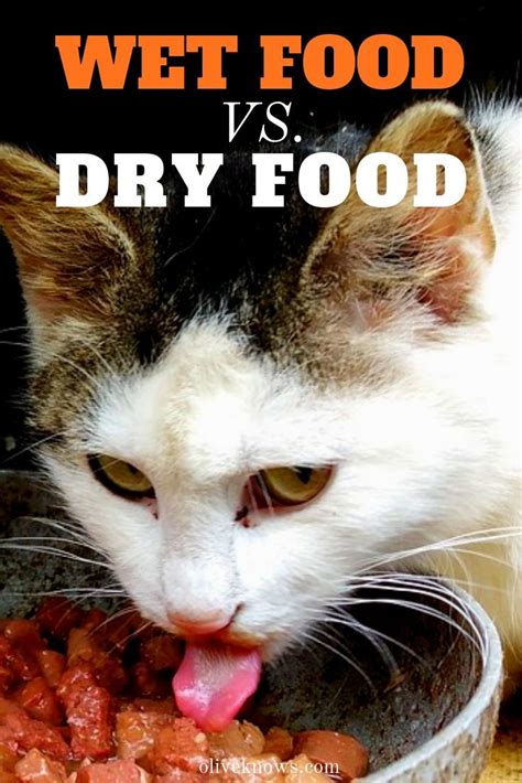 Maybe you would like to learn more about one of these? Wet Food vs Dry Food | What Does Your Cat Need and When ...