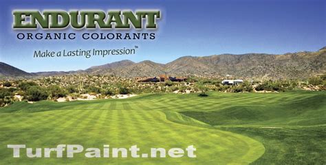 How To Paint Turf Endurant For Professionals