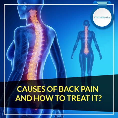 How The Spine Causes Pain To Your Internal Organs Vrogue Co