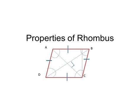 Properties Of Rhombus Youtube