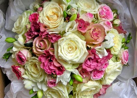 Flowers Roses Registration Typography Bouquet Handsomely Its