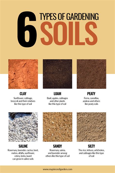 Gardening With Soil Tips Which Soil Should You Use With Images
