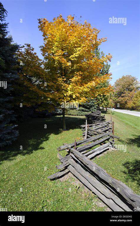 Indiana Autumn Fall Colors Near Muncie Stock Photo Alamy