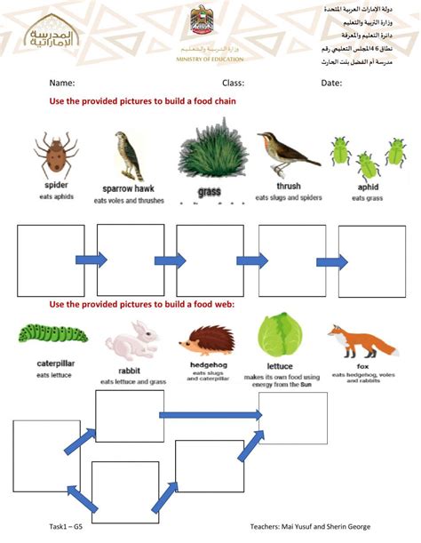 Complete The Food Chain Worksheet