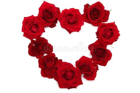 Heart Of Red Roses Stock Photo Image Of Background Love 42799892