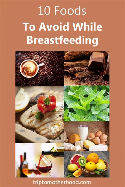 Babygogo is india's leading parenting community that helps you grow a healthy baby. 10 Foods Not To Eat While Breastfeeding