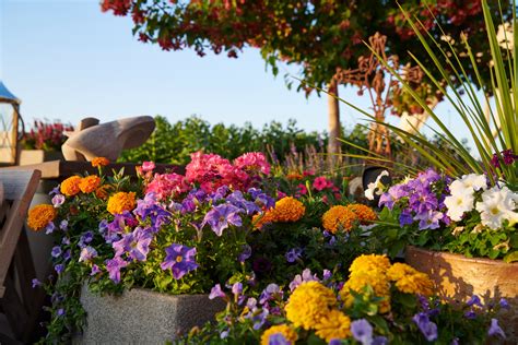 Be sure to come for a visit to view the available floorplans. A Cherry Creek Rooftop Garden