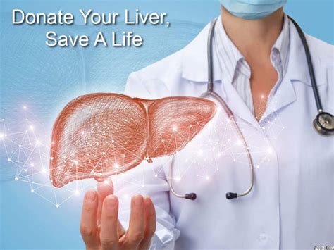 what exactly is a liver transplant guidelines for liver donation everything to know sound