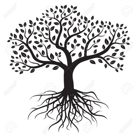Vector Rbol Con Ra Ces Y Hojas Foto De Archivo Tree Of Life Logo Tree Of Life