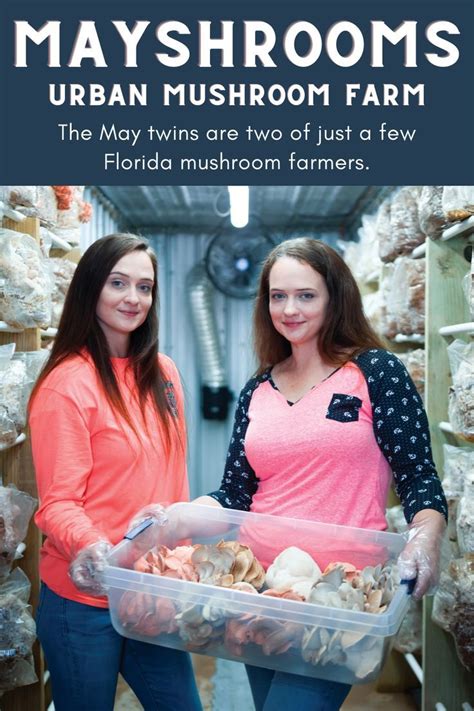 Twin Sisters Find Their Purpose At Mayshrooms Urban Mushroom Farm In