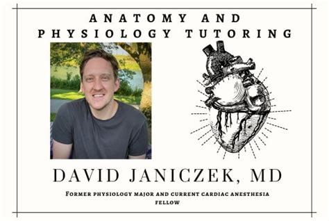 Tutor You In Anatomy And Physiology By Getadmittedmd Fiverr