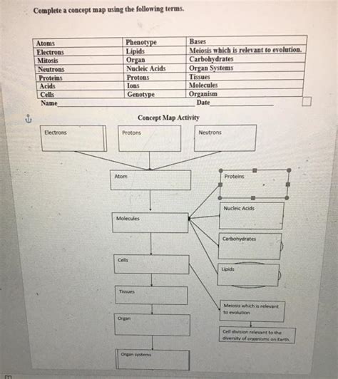 Solved Complete A Concept Map Using The Following Terms Chegg Com