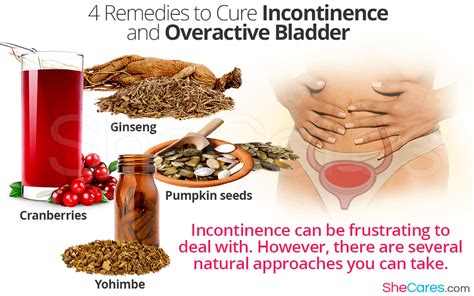 4 remedies to cure incontinence and overactive bladder shecares