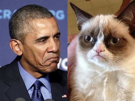 Watch Obama Compares Republicans To ‘grumpy Cat World Videos Hindustan Times