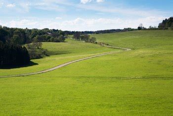 Check spelling or type a new query. The Time It Takes for Dwarf Mondo Grass to Spread | Home ...