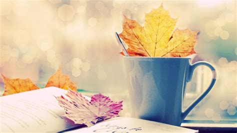 Autumn Maple Leaves In Coffee Cup High Definition Hd