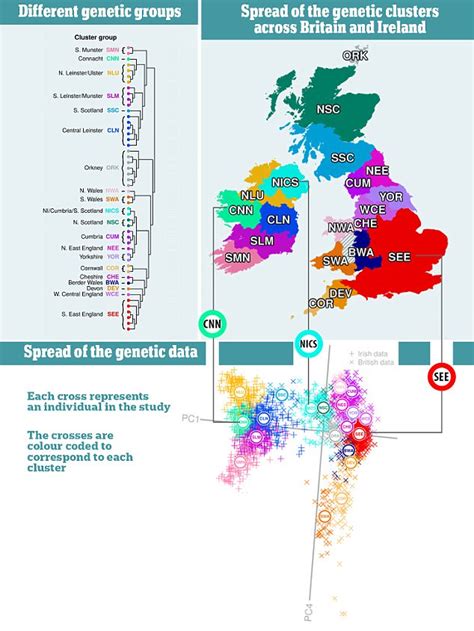 Dna Map Of Of Britain And Ireland Reveals Viking Genes Daily Mail Online