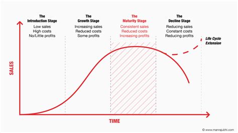 4 Stages Of A Business Life Cycle On The Way To Success