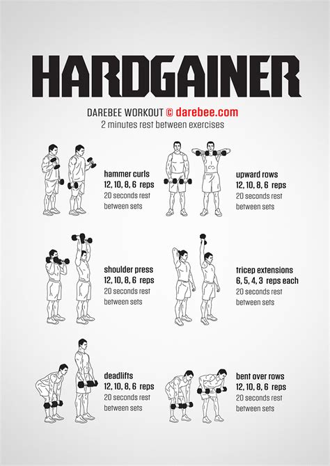 Follow this dumbbell workout schedule for your weekly and monthly routine. Hardgainer Workout