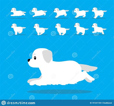 Animal Animation Sequence Dog Kuvasz Cartoon Vector Stock Vector