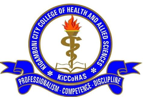 Kiccohas Kigamboni City College Of Health And Allied Science Fee