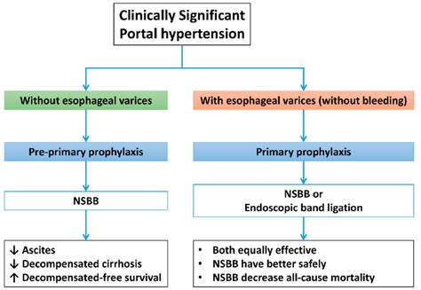 Prophylaxis Of Gastroesophageal Varices Nsbb Noncardioselective