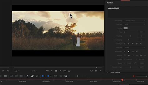 How To Add Cinematic Black Bars In Davinci Resolve Best Explained