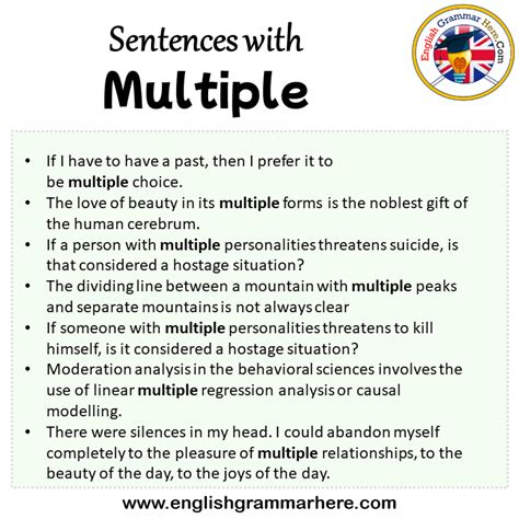 Sentences With Multiple Multiple In A Sentence In English Sentences