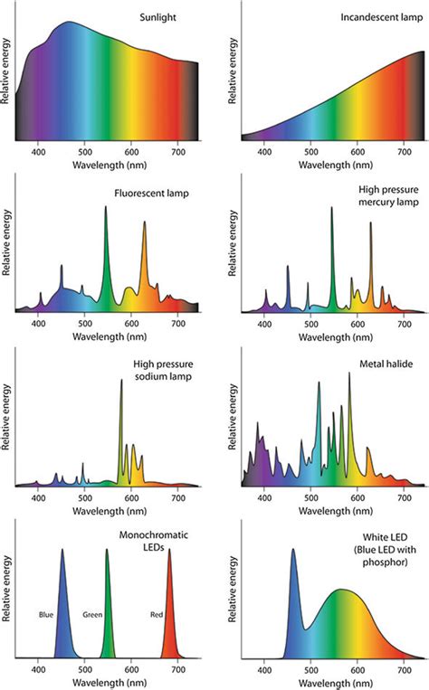 14 Spectral Outputs Of The Various Light Sources Download Scientific