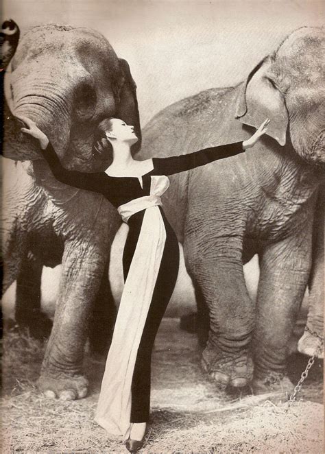 Dovima With Elephants Evening Dress By Dior Cirque Dhiver Paris