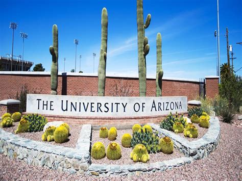 University Of Arizona Online College