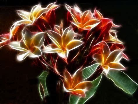 Glowing with Color | Colorful wallpaper, Glowing flowers ...