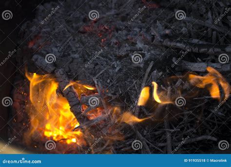 Bright Flames Burning Wood Stock Photo Image Of Heat 91935518