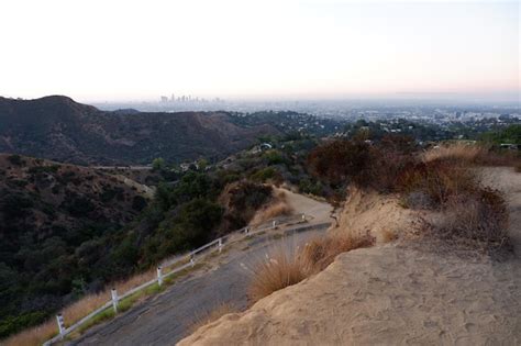 Premium Photo Beautiful Landscape View On A Road In Hollywood Hills