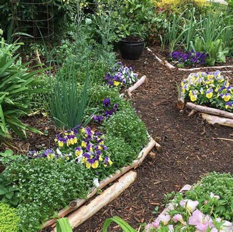How To Create A Beautiful Edible Patio Garden Or Pot