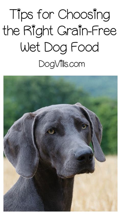 It contains some chondroitin and glucosamine that can help in the relieving of. What is the Best Grain Free Wet Dog Food?