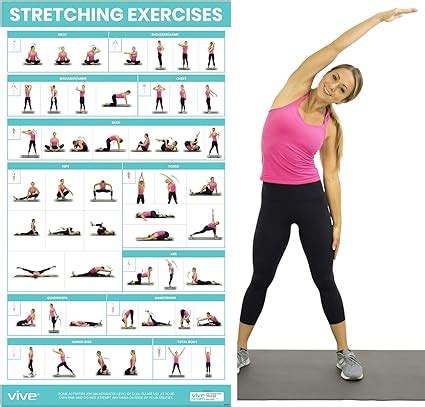 Vive Stretching Exercise Poster Stretch Workout For Rehab Gym Home Basic Fitness