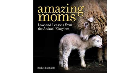 Amazing Moms Love And Lessons From The Animal Kingdom By Rachel Buchholz